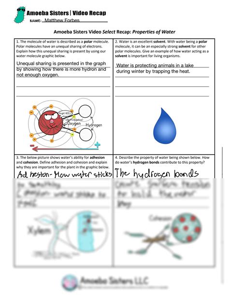 Unlock the Secret to Water's Wonders: Amoeba Sisters' Properties of Water Worksheet PDF Answer Key Revealed!