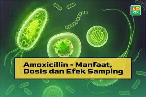 Amoksisilin
