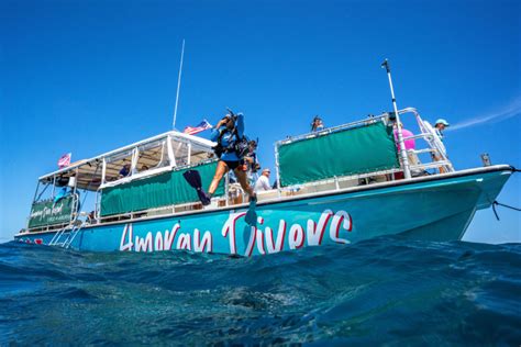 Amoray Dive Resort diving