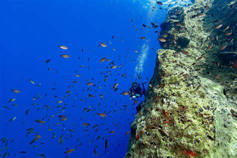 Amorgos Diving Center Exterior