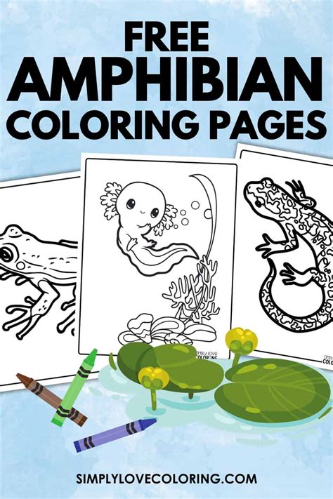 Amphibian Coloring Pages