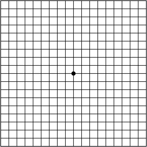 Amsler Grid Test Printable