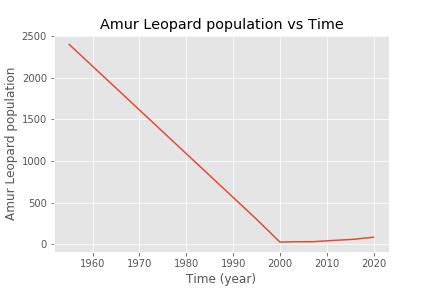 Amur Leopard Population Chart