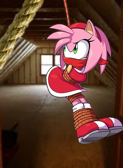 Amy Rose Tied Up