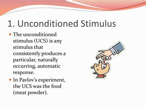 An Unconditioned Stimulus