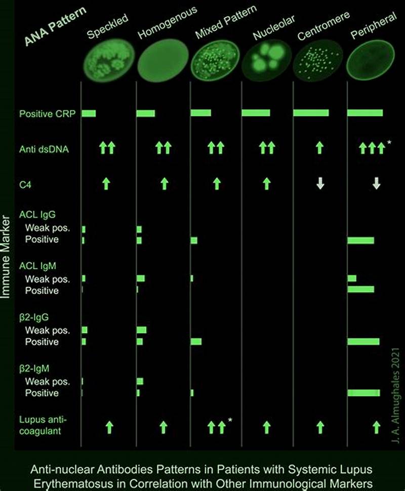 Ana Peripheral Pattern