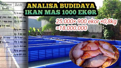 Analisa Budidaya Ikan Gurame 1000 Ekor