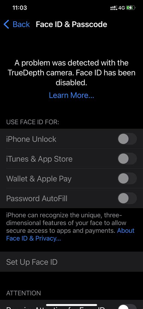 Analyse: Das Face ID Problem