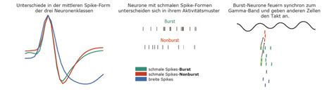 Analyse: Das richtige Timing