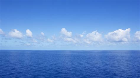 Analysis: A place for everyone on the vast ocean