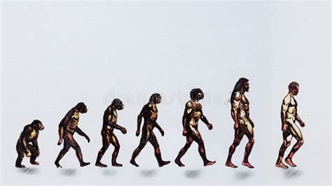 Analysis: March of progress