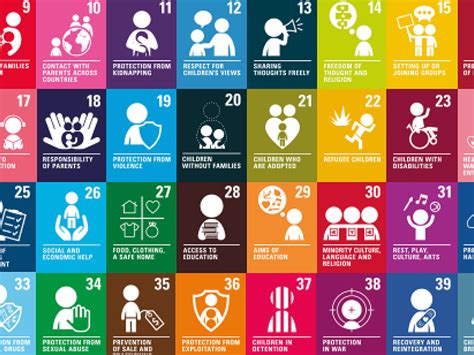 Analysis: Respecting your rights