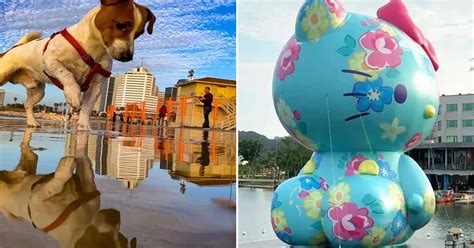 Analysis: Super confusing