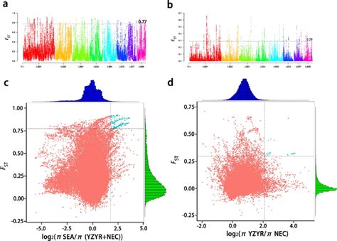 Analysis: This is Lotus is riffing on its core values