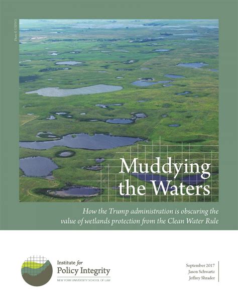 Analysis: muddying the waters