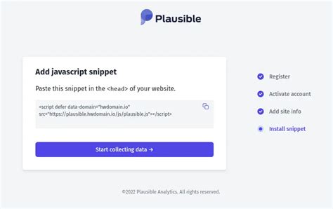 Analysis: plausible snippets