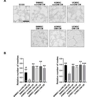 Analyzing the Potential Formation