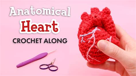 Anatomical Crochet Heart