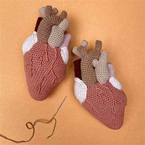 Anatomical Heart Crochet
