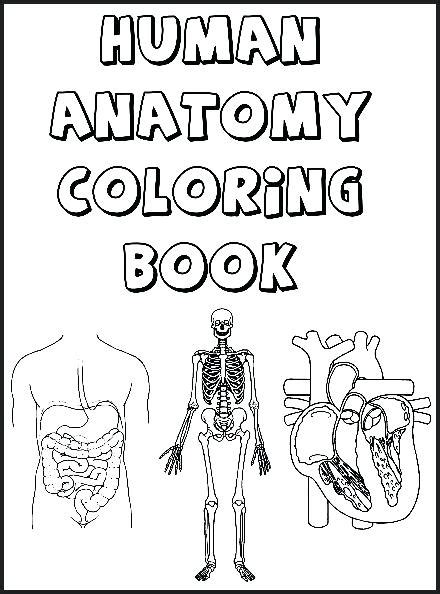 Anatomy Coloring Book Printable