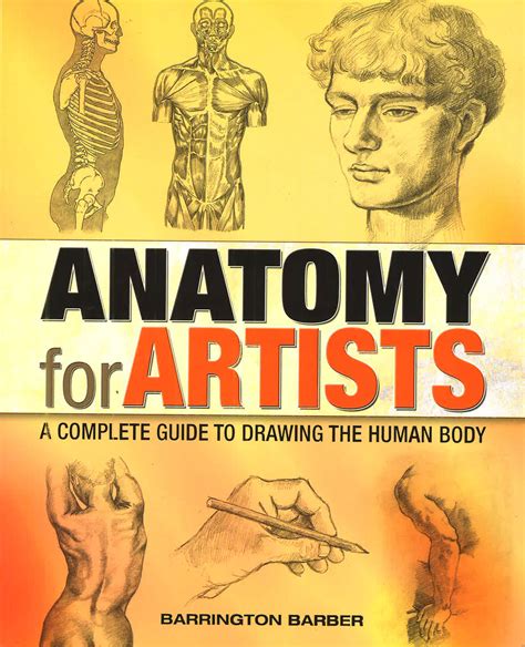 Artist's Guide to Human Anatomy