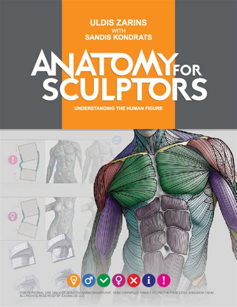 Anatomy For Sculptors on Instagram “Details everywhere! . . . . 