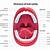 Anatomy Of Mouth And Throat