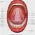 Anatomy Of The Mouth Under The Tongue
