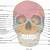 Anatomy Of The Skull Labeling