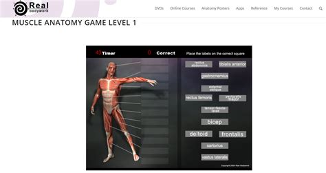 Anatomy And Physiology Games Free