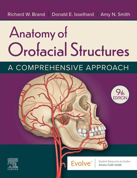 Anatomy Of Orofacial Structures: A Comprehensive Approach