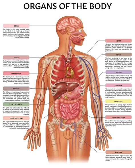 Anatomy of a Schematic