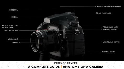 Anatomy of a camera