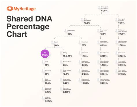 Ancestry Dna Percentage Chart