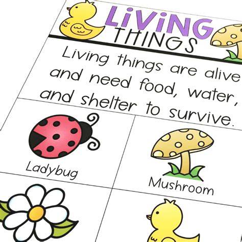 Anchor Chart For Living Things
