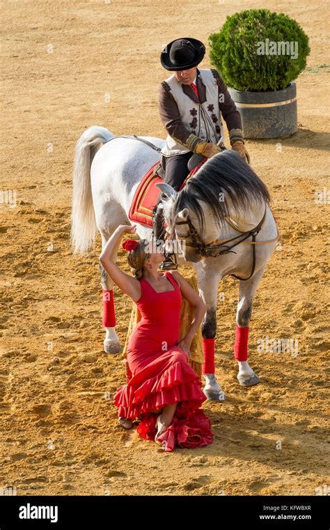 Andalusian Horse Performance