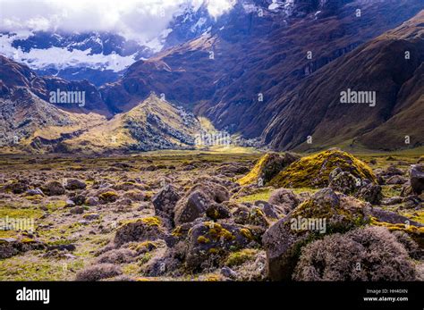 Andean landscape