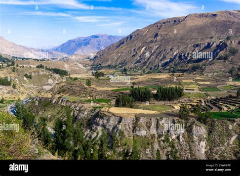 Andean landscapes Peru