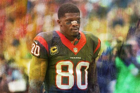 Andre Johnson Career Stats