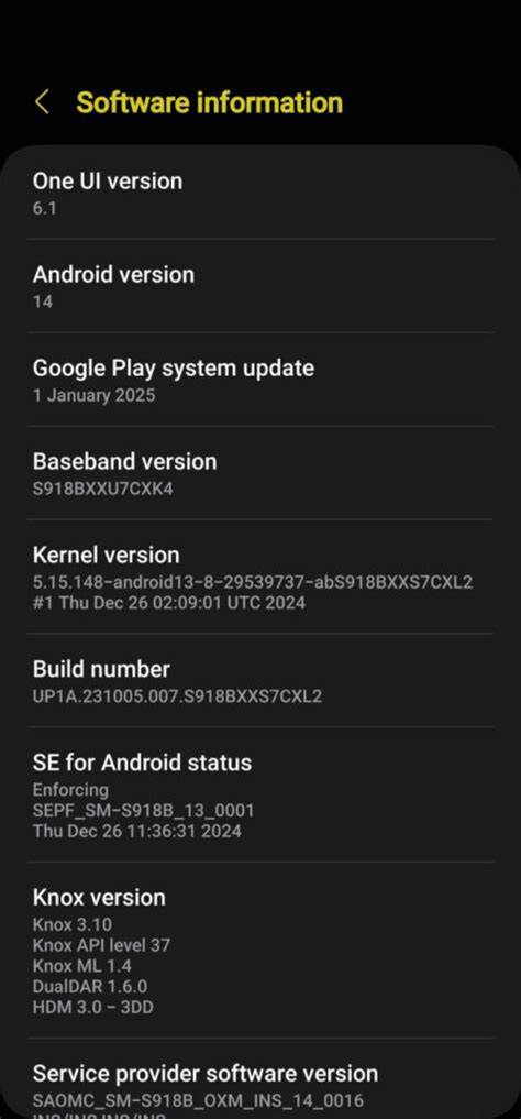 Android Devices Showing January 2027 Update: A Beginner-Friendly Walkthrough