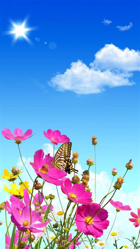 Android Flowers Image
