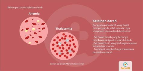 Anemia Gangguan Stabilitas Sel Darah Merah
