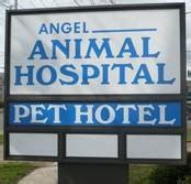Angel Animal Hospital West Haven Ct