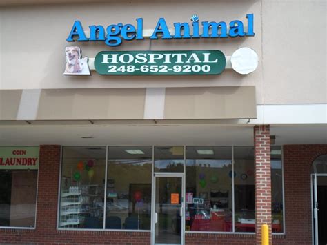 Expert Animal Care in Bonita Springs: Visit Angel Animal Hospital for Exceptional Services.