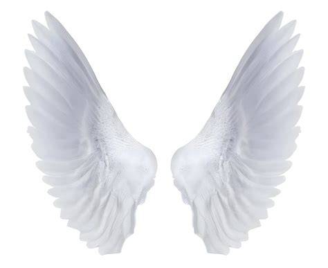 Experience the Magic of Angelic Flight with Angel Wings PNG!