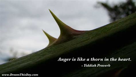 Anger is like a thorn in the heart - the longer it remains, the deeper it digs