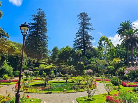 Angra Tour Booking Tips