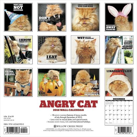 Angry Cat Calendar