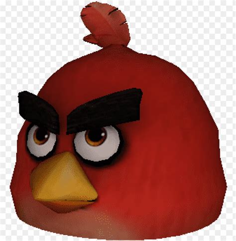 Angry birds My Roblox character in angry birds by 