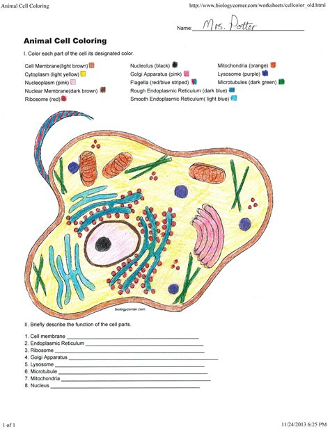Animal Cells Coloring Worksheet